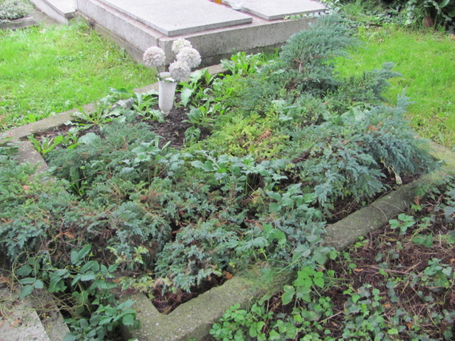 Ewa Bojda Cieszyn ewangelicki - Grobonet - Wyszukiwarka osób pochowanych