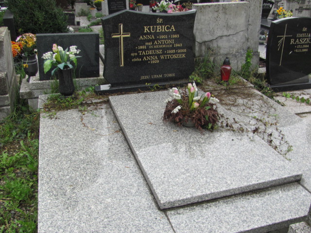 Grób Anna Witoszek
