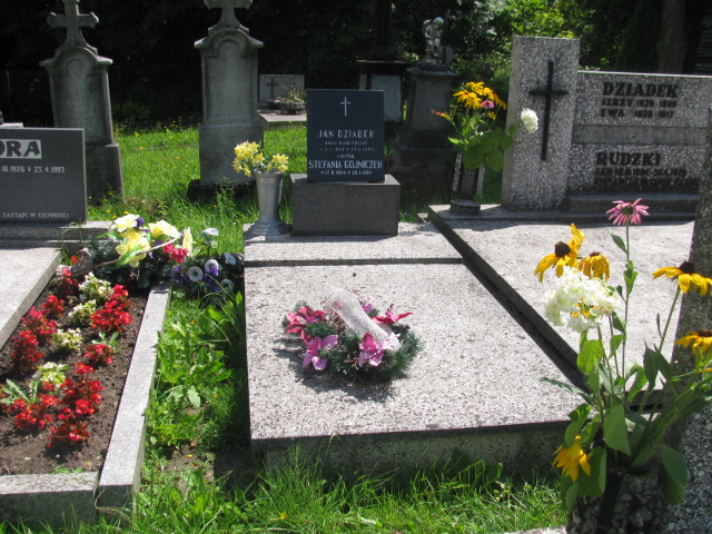 Grób Stefania Gojniczek